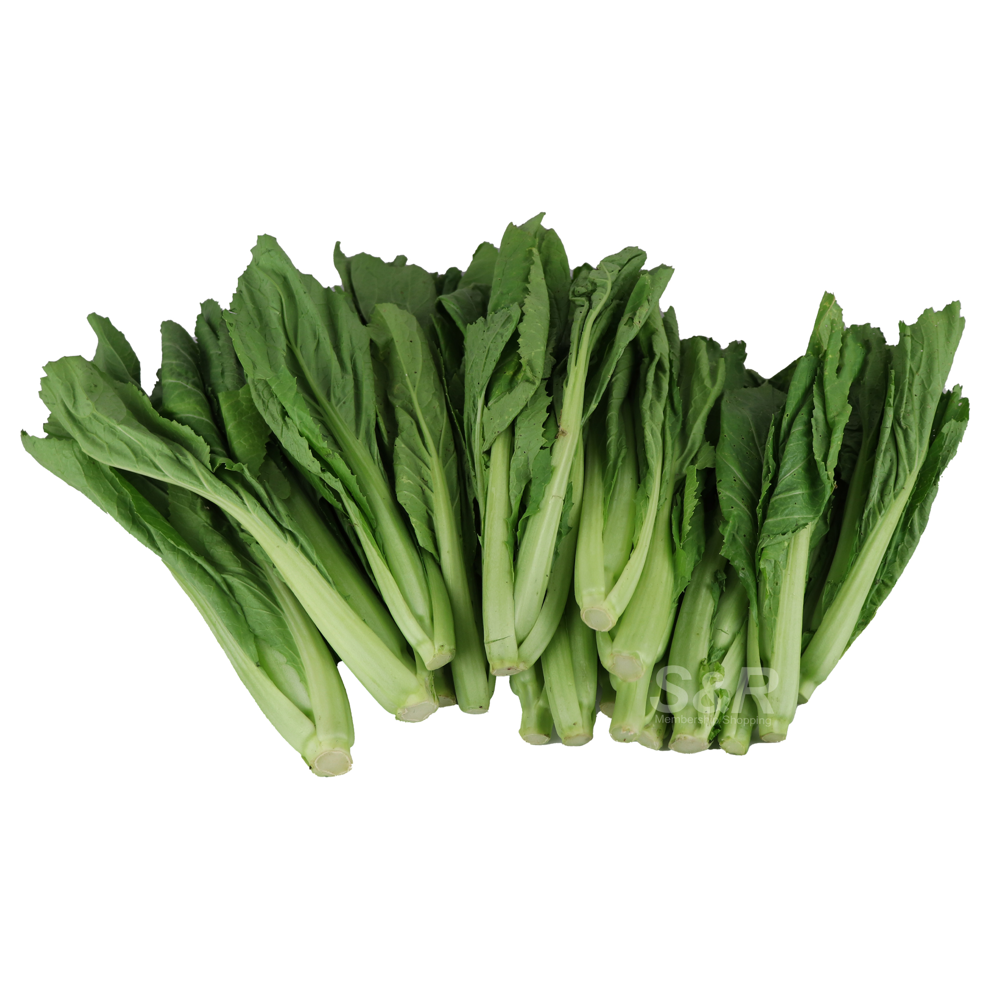 S&R Mustard Leaves approx. 1kg S&R Mustard Leaves approx. 1kg